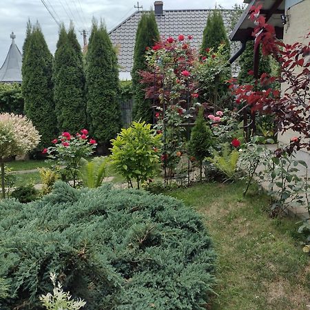 Casa Mamei Suceava Ruang foto