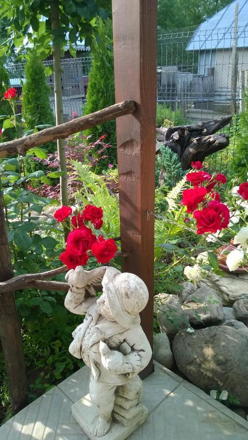 Casa Mamei Suceava Bagian luar foto