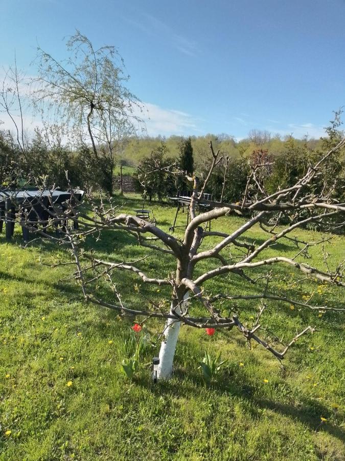 Casa Mamei Suceava Bagian luar foto