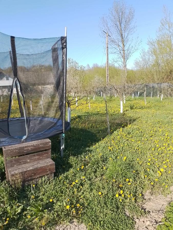 Casa Mamei Suceava Bagian luar foto