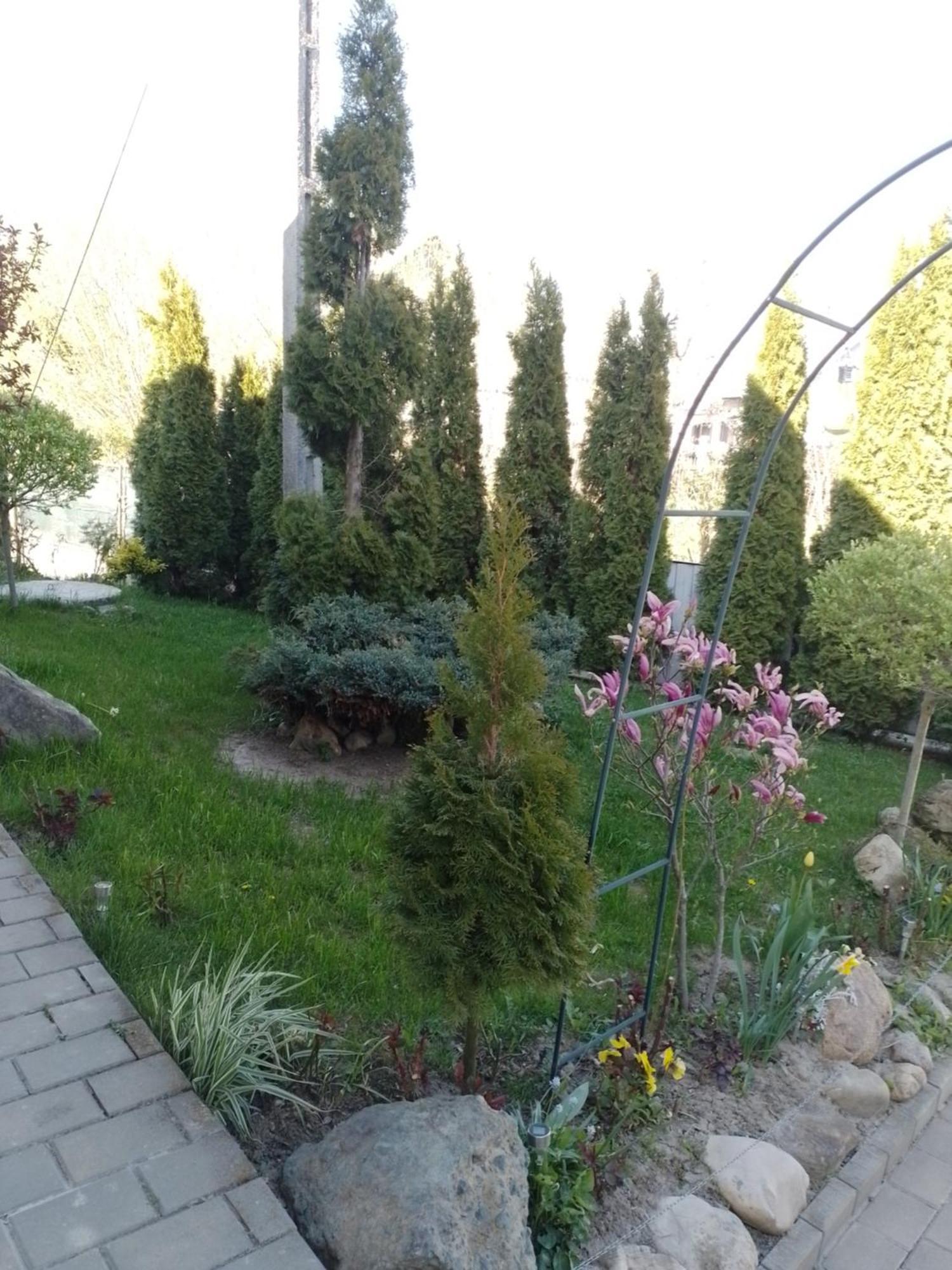 Casa Mamei Suceava Ruang foto