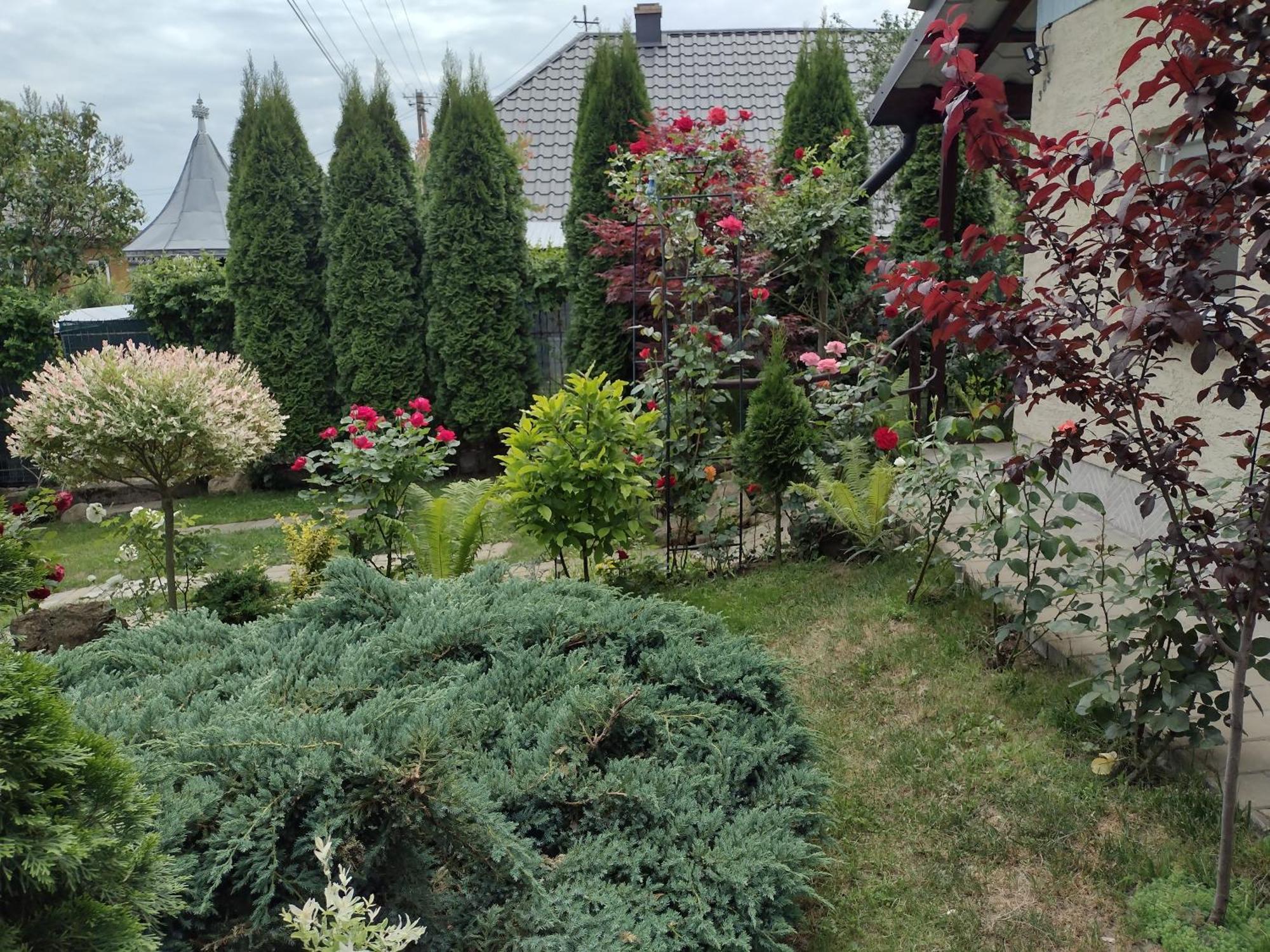 Casa Mamei Suceava Ruang foto